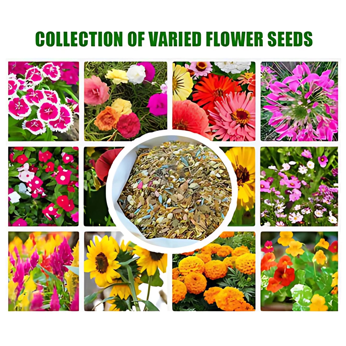 All Season Mixed Flower Seed Collection (Pack of 100) And Get Plant Growth Supplement Free