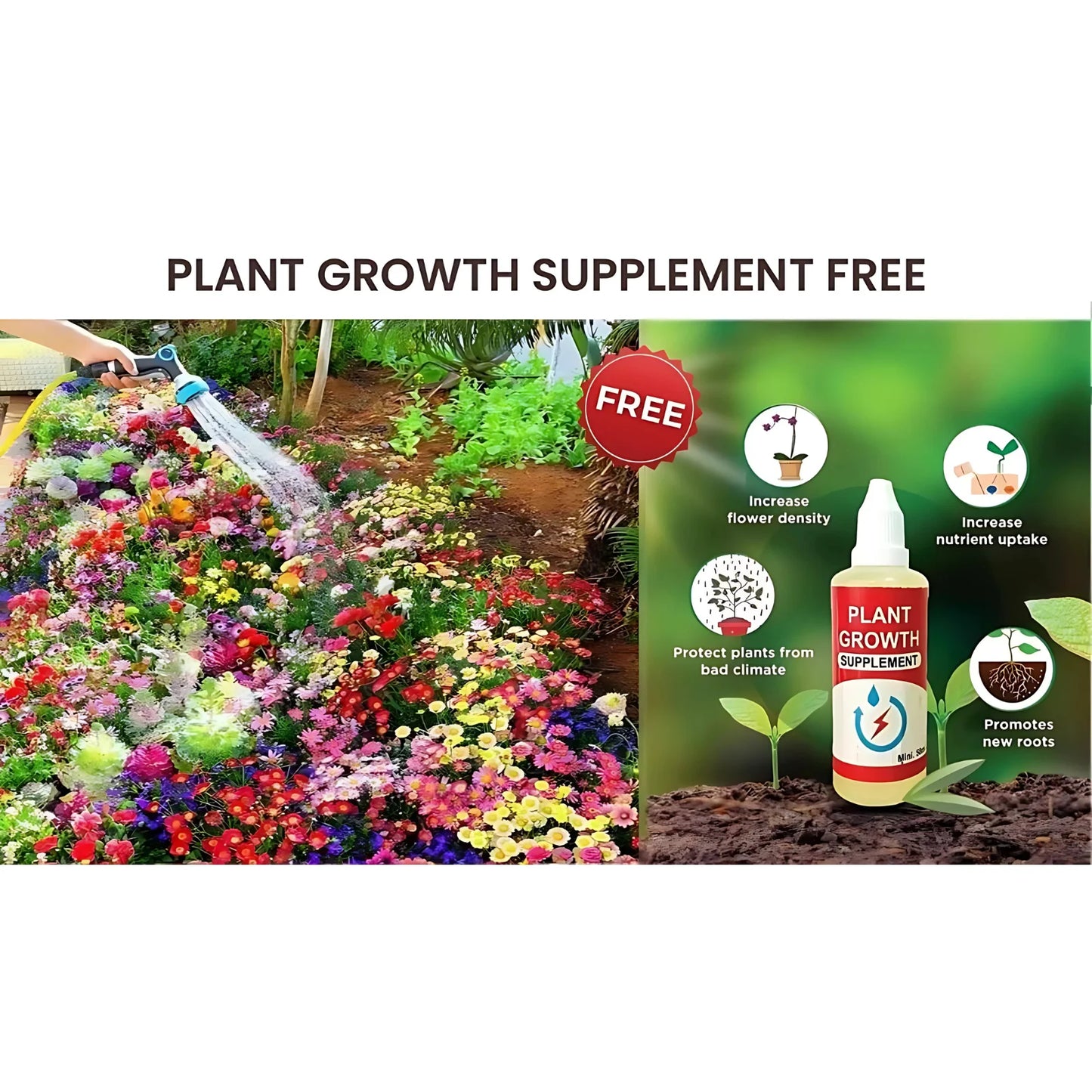 All Season Mixed Flower Seed Collection (Pack of 100) And Get Plant Growth Supplement Free