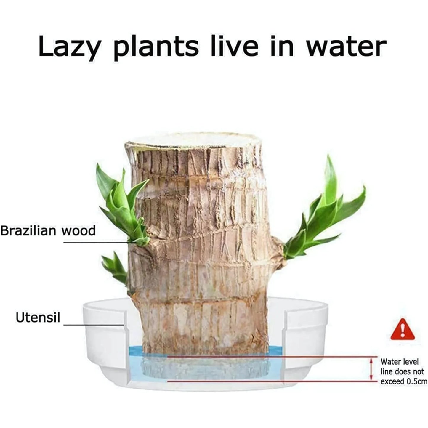 Brazilian Lucky Wood | Natural Air Purifier & Home Luck Enhancer - Pack Of 2