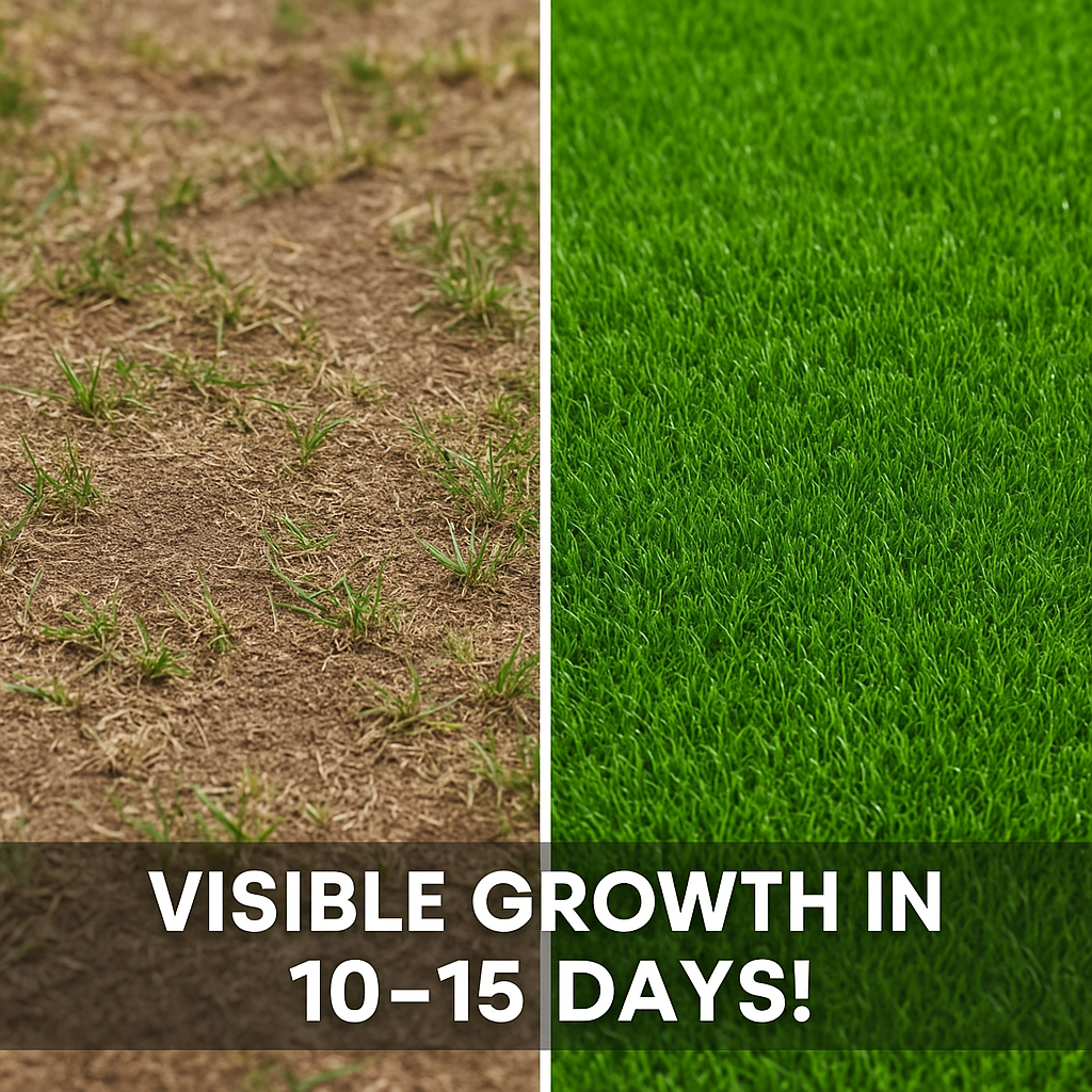 All-Season Grass Seeds for Gardens & Lawns (100g/pack)